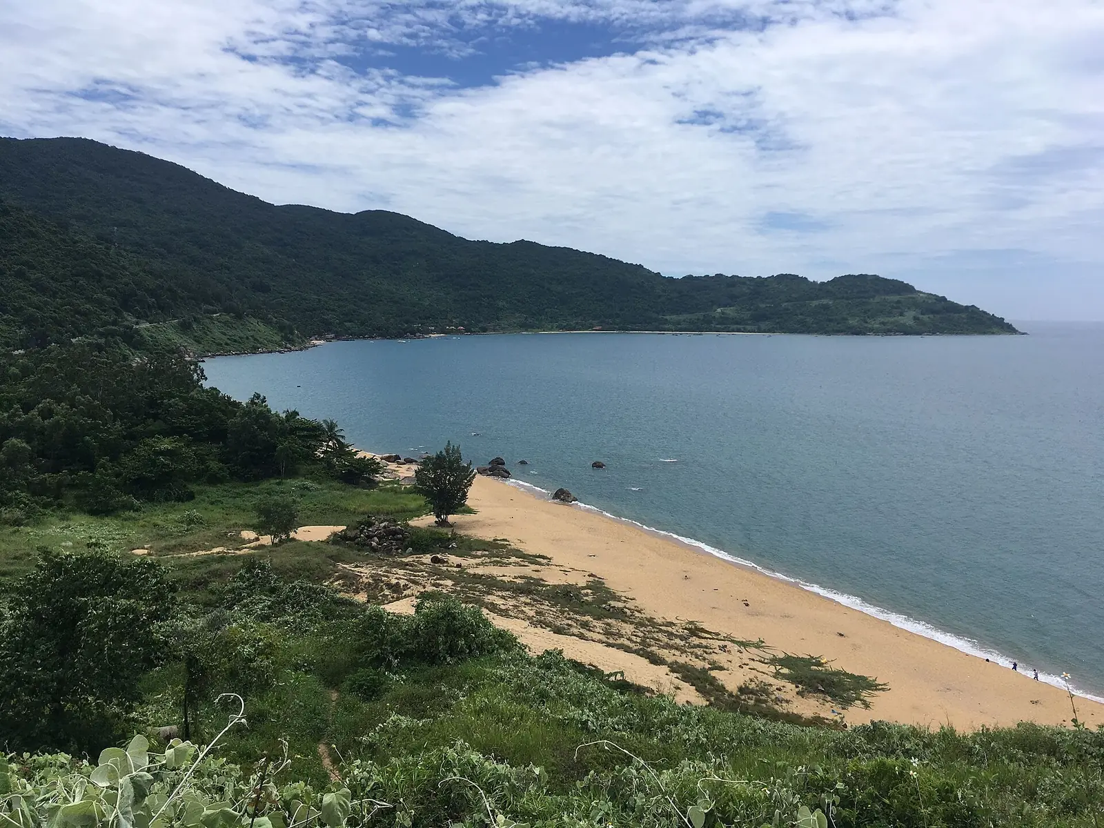 Bãi cát và sườn rừng bán đảo Sơn Trà